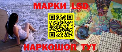 гашик Донецк