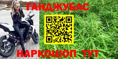 гашик Донецк