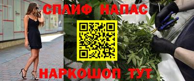 амф Дубна