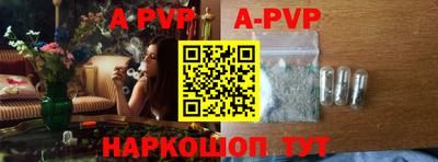 гашик Донецк
