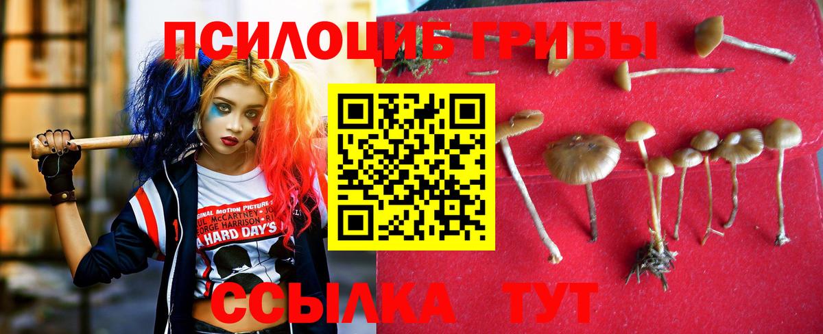 Галлюциногенные грибы мицелий Крымск
